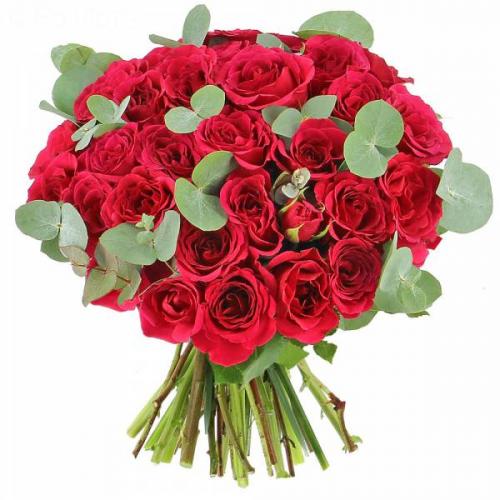 roses-lovely-584.jpg